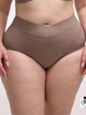 Torrid High-Waist Comfort Briefs - Brown